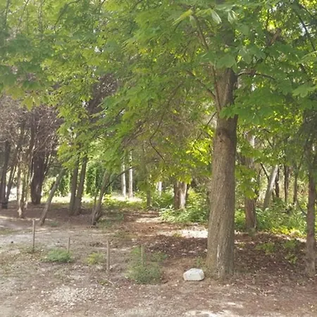 North Star - Sea Balchik