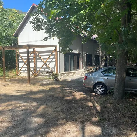 North Star - Sea * 巴尔奇克